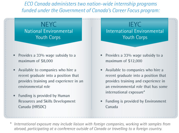 Internship Program Options