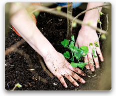 Environmental career profiles