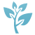 Volunteer