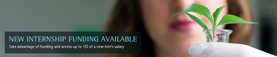 http://www.eco.ca/hr-services/wage-subsidy-internships/
