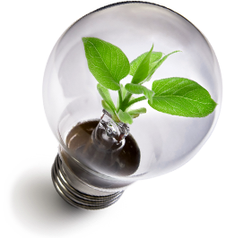 Greenbulb
