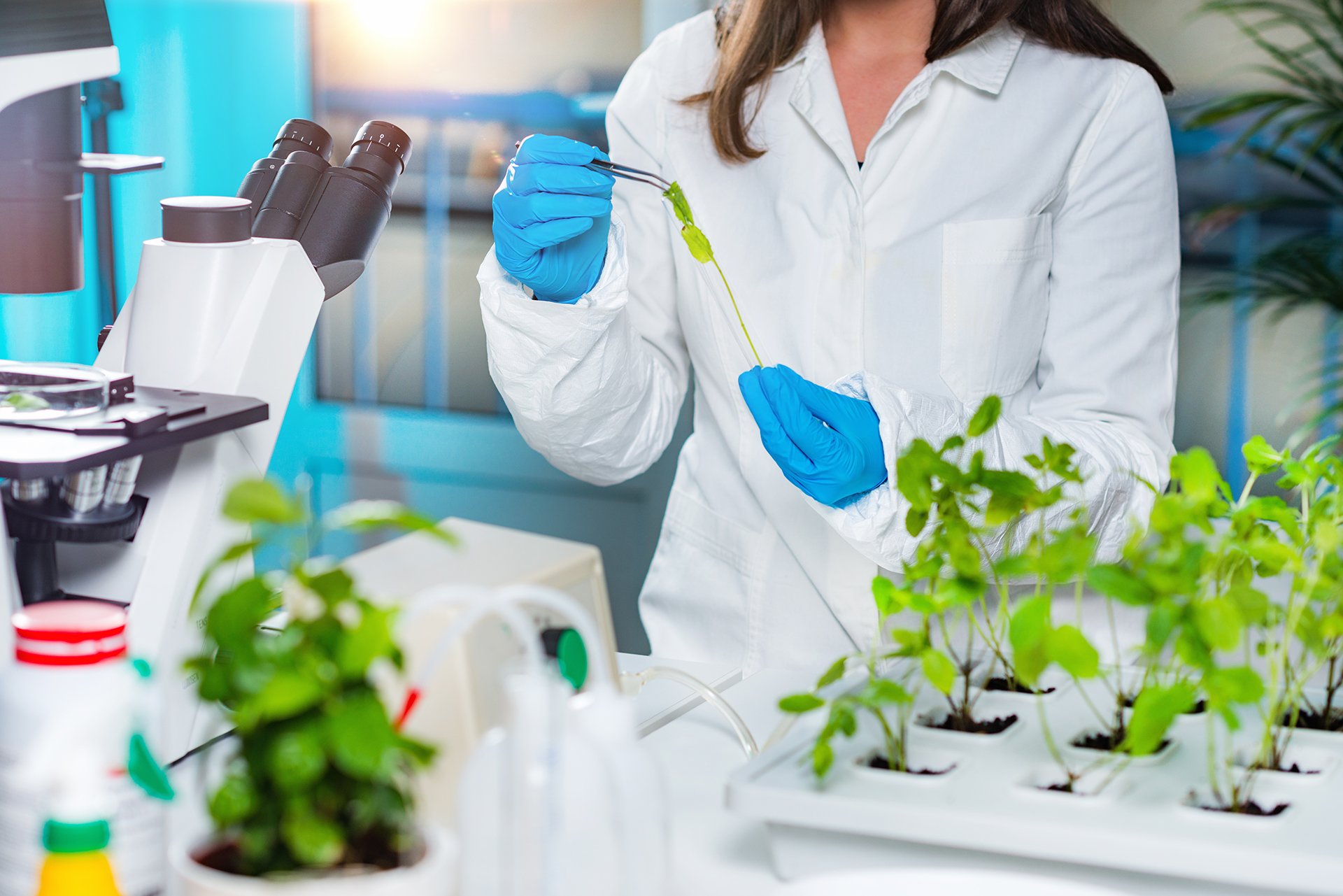 Plant pathology jobs in canada